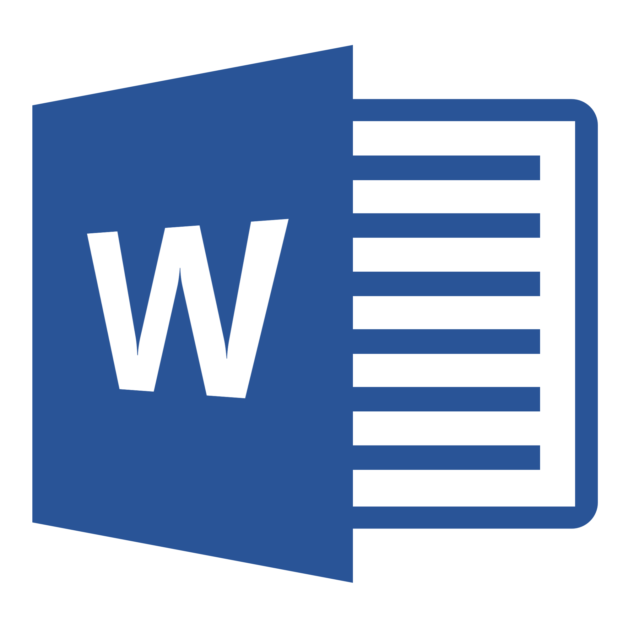 Microsoft Word 